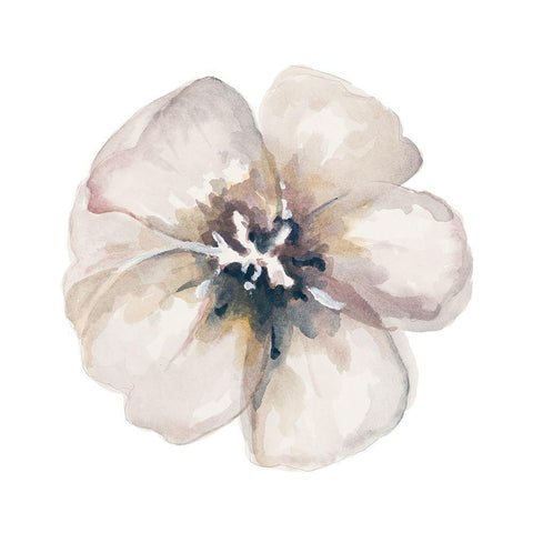 Vintage Taupe Gold Ornate Wood Framed Art Print with Double Matting by Pinto, Patricia