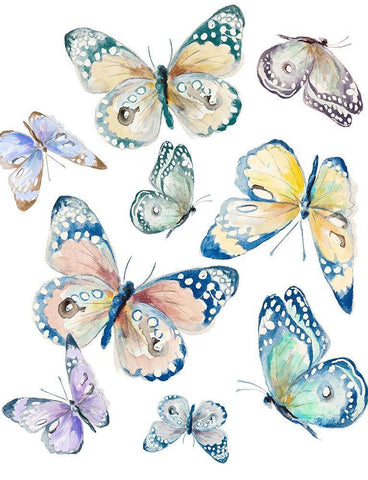 Colorful Isolated Butterflies Black Ornate Wood Framed Art Print with Double Matting by Pinto, Patricia