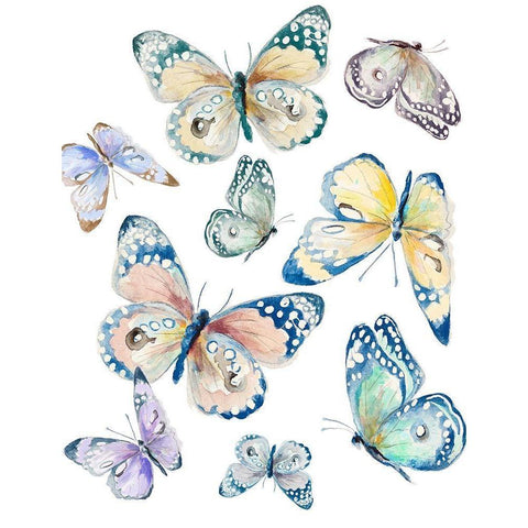 Colorful Isolated Butterflies Black Modern Wood Framed Art Print with Double Matting by Pinto, Patricia