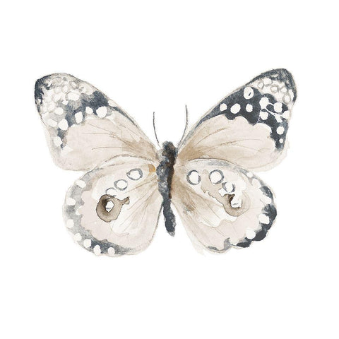 Steady Wings I Black Modern Wood Framed Art Print by Pinto, Patricia