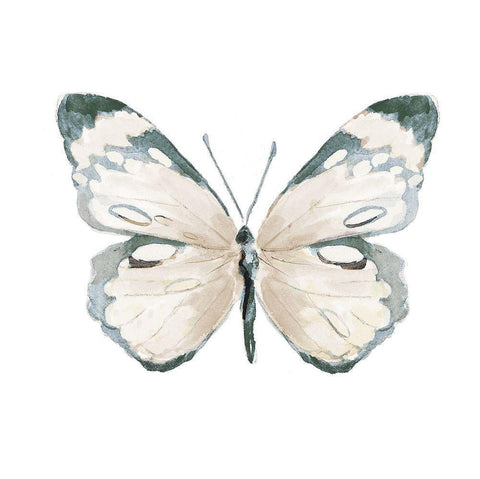 Steady Wings III White Modern Wood Framed Art Print with Double Matting by Pinto, Patricia