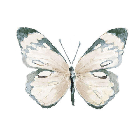 Steady Wings III Black Modern Wood Framed Art Print by Pinto, Patricia