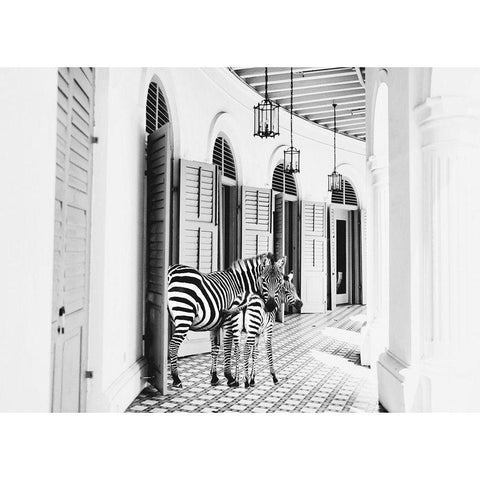 Zebra Hotel Black Modern Wood Framed Art Print with Double Matting by Mansfield, Kathy