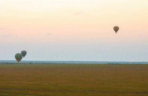 Hot Air Balloons over Kenya II Black Ornate Wood Framed Art Print with Double Matting by Mansfield, Kathy