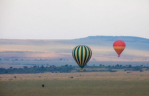 Hot Air Balloons over Kenya I Black Ornate Wood Framed Art Print with Double Matting by Mansfield, Kathy