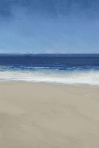 Beach Dreaming I Black Ornate Wood Framed Art Print with Double Matting by Meneely, Dan