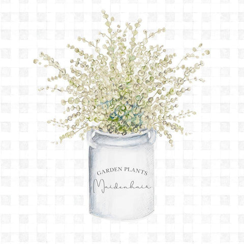 Garden Plants II White Modern Wood Framed Art Print with Double Matting by Gaynor, Janice