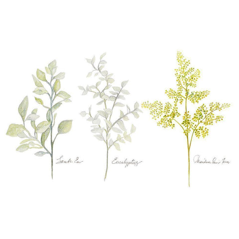 Named Ferns I Gold Ornate Wood Framed Art Print with Double Matting by Gaynor, Janice