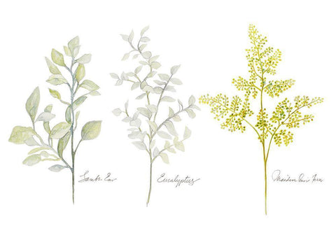 Named Ferns I Black Ornate Wood Framed Art Print with Double Matting by Gaynor, Janice