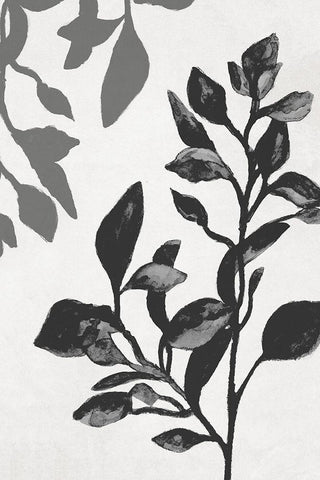 Botanical In Noir I White Modern Wood Framed Art Print with Double Matting by Gaynor, Janice
