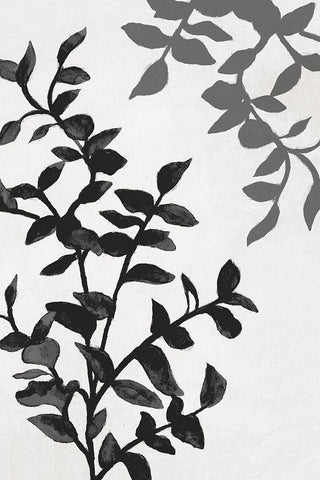 Botanical In Noir II White Modern Wood Framed Art Print with Double Matting by Gaynor, Janice
