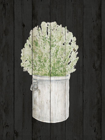 Herbs on Black Wood II White Modern Wood Framed Art Print with Double Matting by Gaynor, Janice