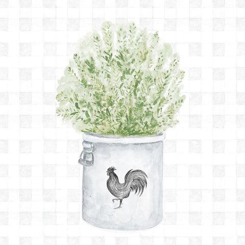 Farm Herbs II White Modern Wood Framed Art Print with Double Matting by Gaynor, Janice