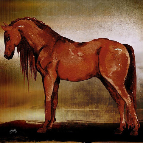 Red Horse II Black Modern Wood Framed Art Print with Double Matting by Medley, Elizabeth