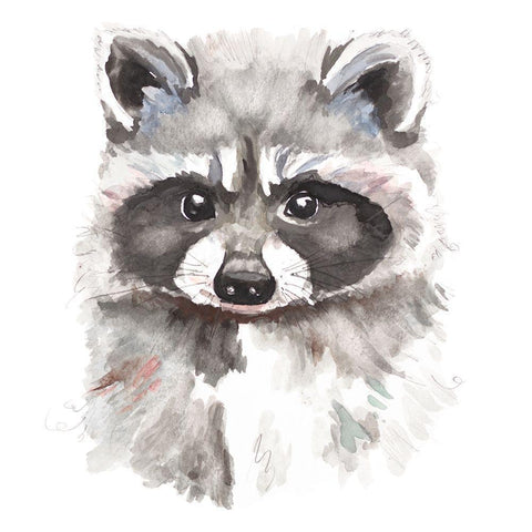 Baby Raccoon Black Modern Wood Framed Art Print with Double Matting by Pinto, Patricia