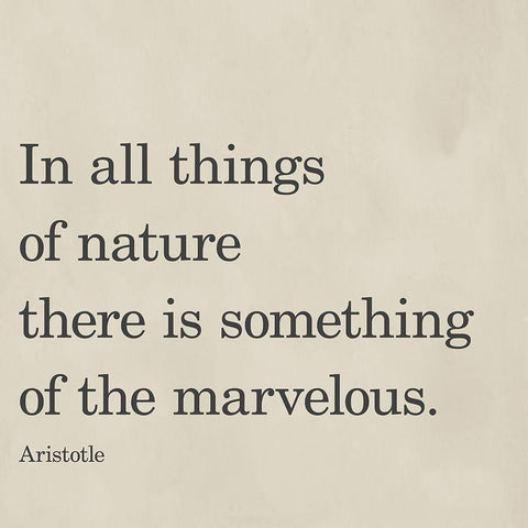 Something Of The Marvelous White Modern Wood Framed Art Print by SD Graphics Studio