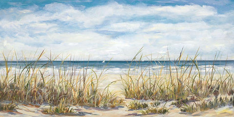 Sailing the Beautiful Coast Black Ornate Wood Framed Art Print with Double Matting by DeRice, Julie