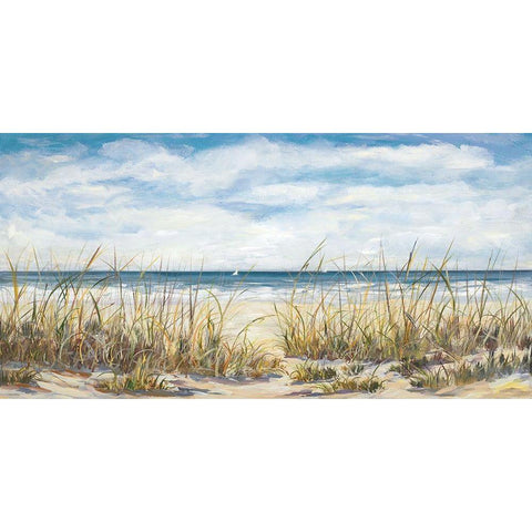 Sailing the Beautiful Coast Black Modern Wood Framed Art Print by DeRice, Julie