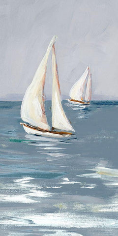 Coast Sailing I Black Ornate Wood Framed Art Print with Double Matting by DeRice, Julie