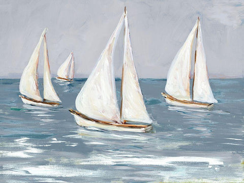 Sailing Calm Waters I Black Ornate Wood Framed Art Print with Double Matting by DeRice, Julie