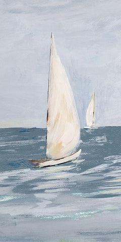 Coast Sailing II Black Ornate Wood Framed Art Print with Double Matting by DeRice, Julie