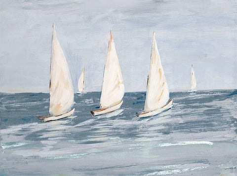 Sailing Calm Waters  II Black Ornate Wood Framed Art Print with Double Matting by DeRice, Julie