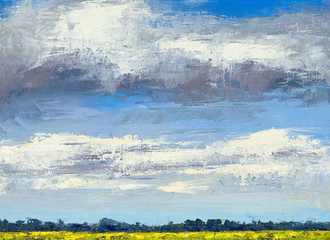 Cloud Coverage Black Ornate Wood Framed Art Print with Double Matting by Green, Jenny