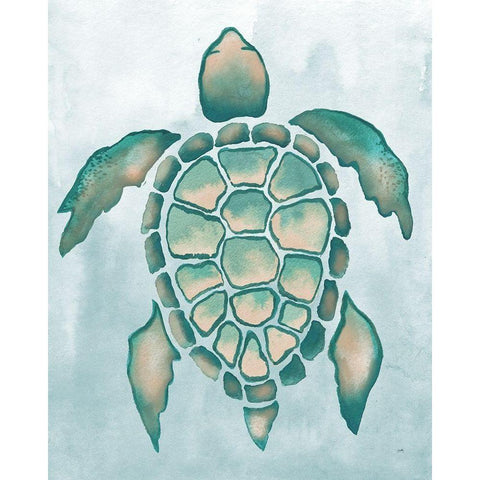 Aquatic Turtle I Black Modern Wood Framed Art Print with Double Matting by Medley, Elizabeth