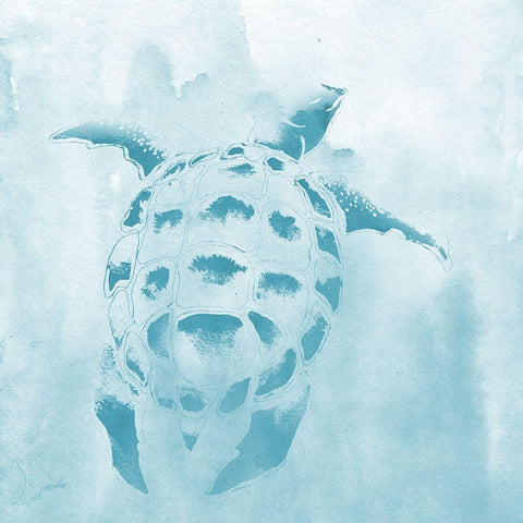 Washed Teal Aquatic Turtle White Modern Wood Framed Art Print by Medley, Elizabeth