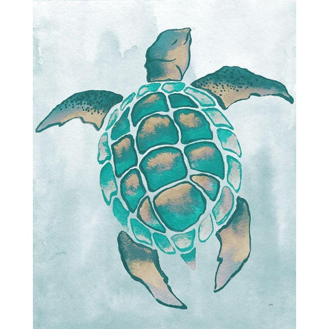 Aquatic Turtle II Black Modern Wood Framed Art Print with Double Matting by Medley, Elizabeth