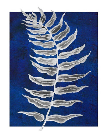 Blue Fern in White Border I Black Ornate Wood Framed Art Print with Double Matting by Medley, Elizabeth