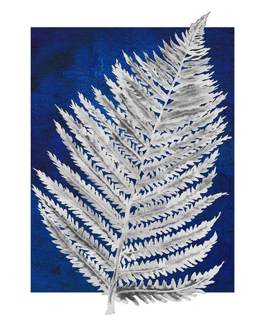 Blue Fern in White Border II White Modern Wood Framed Art Print with Double Matting by Medley, Elizabeth