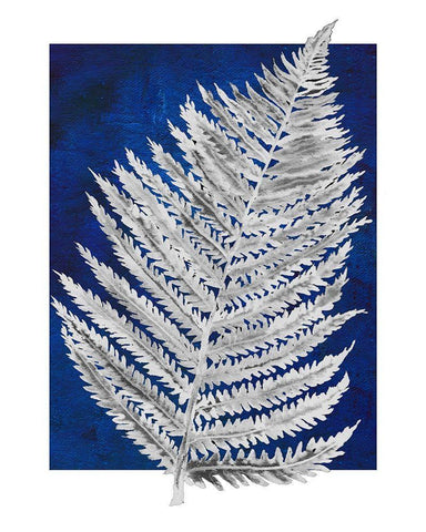 Blue Fern in White Border II Black Ornate Wood Framed Art Print with Double Matting by Medley, Elizabeth