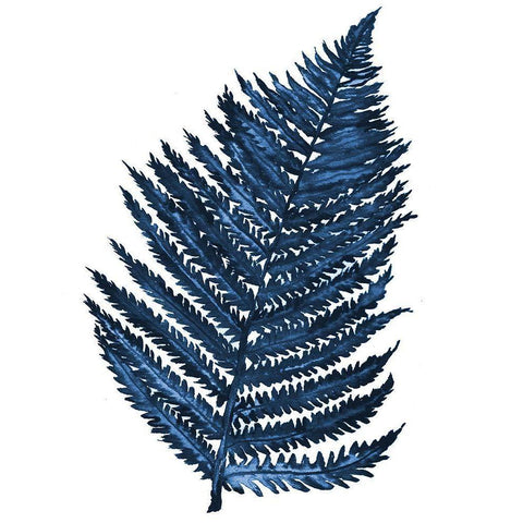 Blue Fern II Black Modern Wood Framed Art Print with Double Matting by Medley, Elizabeth