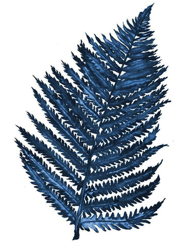 Blue Fern II Black Ornate Wood Framed Art Print with Double Matting by Medley, Elizabeth