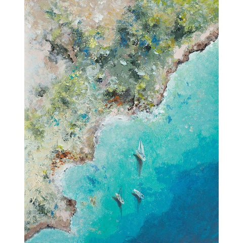Playa Escondida from Above Black Modern Wood Framed Art Print by Pinto, Patricia
