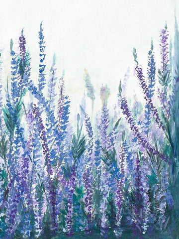 Lavender Garden II White Modern Wood Framed Art Print with Double Matting by Pinto, Patricia
