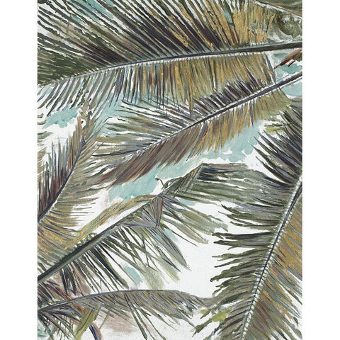 Palms in the Sky Black Modern Wood Framed Art Print with Double Matting by Pinto, Patricia