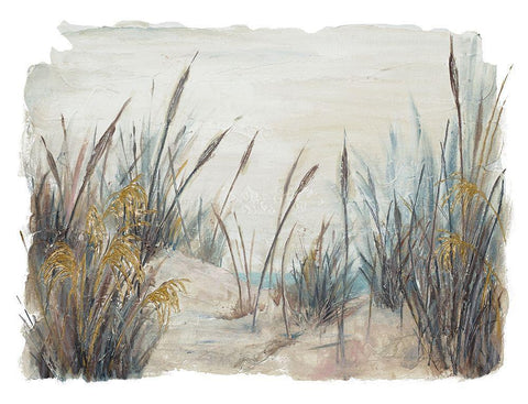 Tall Beach Grass White Modern Wood Framed Art Print with Double Matting by Pinto, Patricia