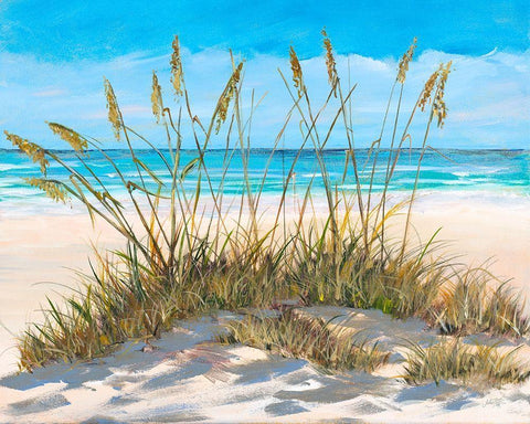 Beach Grass White Modern Wood Framed Art Print with Double Matting by DeRice, Julie