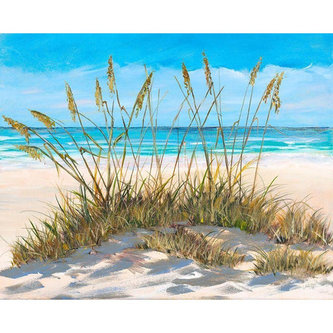Beach Grass Black Modern Wood Framed Art Print by DeRice, Julie