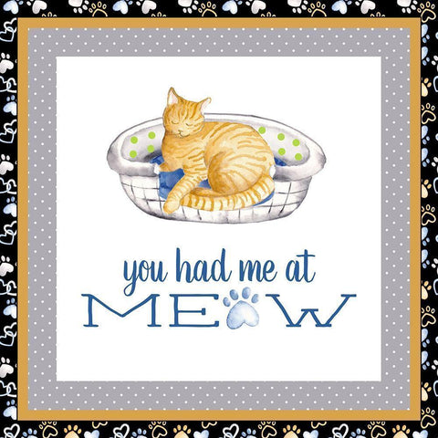 A Cats Life III White Modern Wood Framed Art Print by Metz, Andi