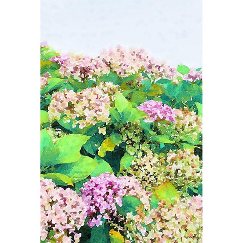 Garden Beauties I Black Modern Wood Framed Art Print with Double Matting by Navas, Emily