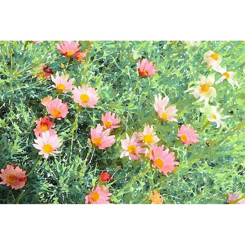 Daisy Field I Black Modern Wood Framed Art Print by Navas, Emily