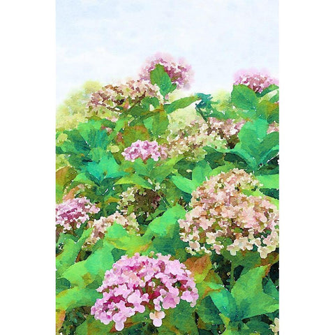 Garden Beauties II Black Modern Wood Framed Art Print with Double Matting by Navas, Emily