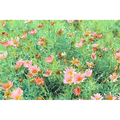Daisy Field II White Modern Wood Framed Art Print by Navas, Emily