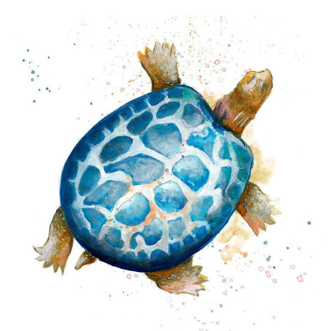 Tortuga Azul Square White Modern Wood Framed Art Print with Double Matting by Pinto, Patricia