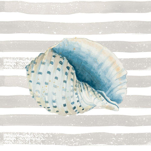 Shell On Stripes White Modern Wood Framed Art Print by Pinto, Patricia