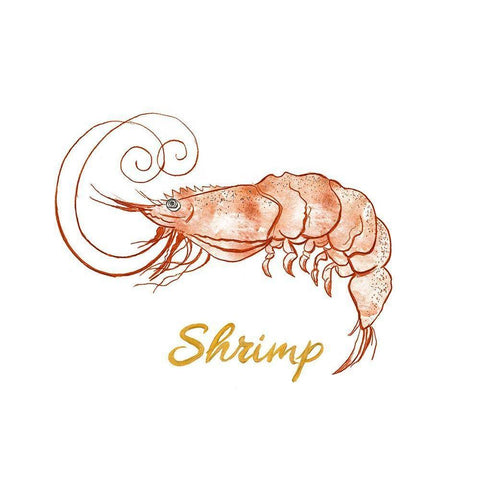 Shrimp White Modern Wood Framed Art Print by Pinto, Patricia