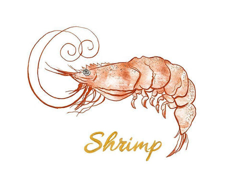 Shrimp White Modern Wood Framed Art Print with Double Matting by Pinto, Patricia
